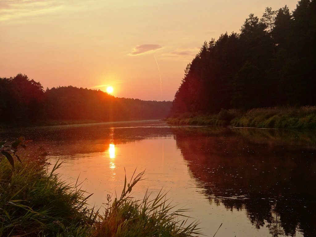 Ловля голавля на фидер летом.Река рассвет